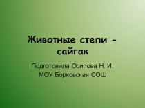 Презентация по окружающему миру Животные степи - сайгак 3 класс