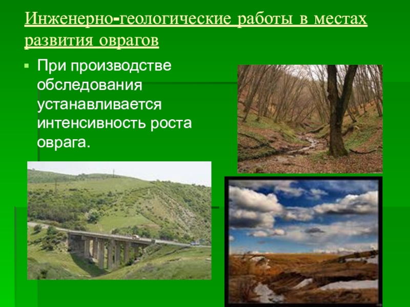 Место развития. Интенсивность развития Овражной эрозии. Как можно бороться с ростом оврагов. Что требуется для устранения оврагов.