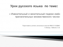 Презентация по русскому языку по теме Именительный и винительный падежи имён прилагательных множественного числа
