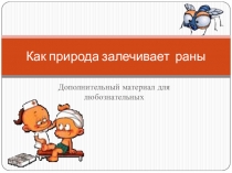 Презентация по окружающему миру