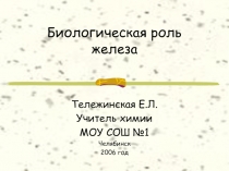 Роль железа в организме человека