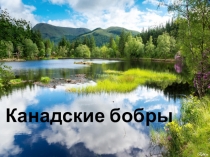 Презентация для начальных классов Канадские бобры