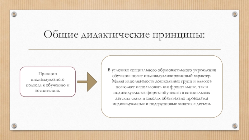 Общая дидактика это. Принцип индивидуального подхода в обучении. Общие и частные дидактические принципы. Общие дидактические подходы к обучению русскому языку. Золотое правило дидактики принцип.