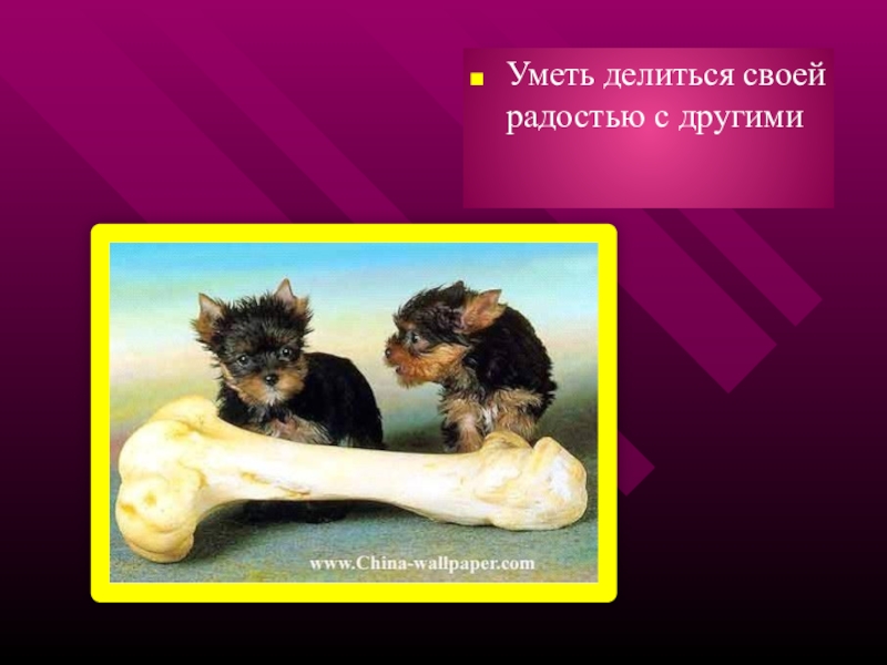 Не умеет делиться. Не умеет делиться. Не умеет делиться. Рисунок в детский сад дети ссорятся. Не умеет делиться.