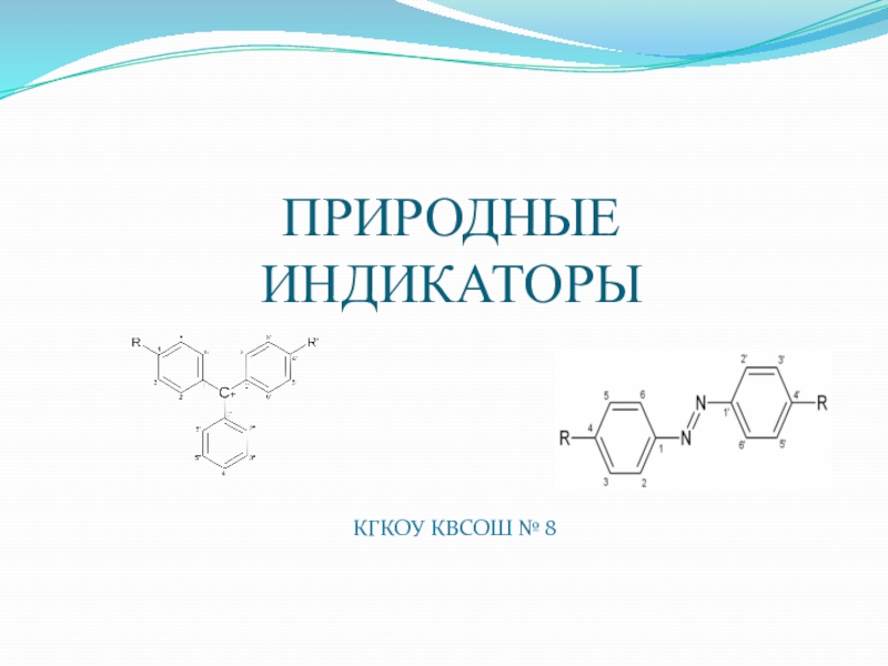 Природные индикаторы проект по химии