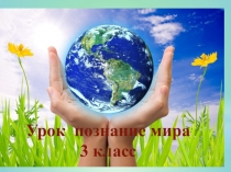 Презентация по познанию мира на тему Почва 3 класс