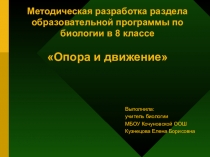Презентация Разработка раздела программы