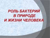 Презентация по биологии на тему РОЛЬ БАКТЕРИЙ
