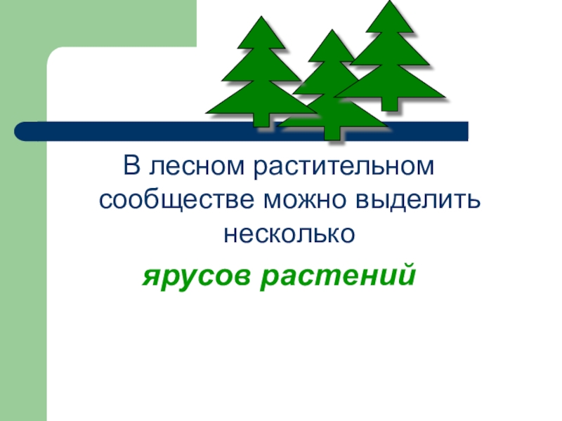 Взаимосвязи в растительном сообществе 6 класс презентация