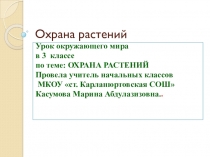 Презентация по окружающему миру.