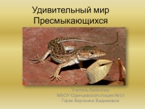 Презентация по биологии на тему: Удивительный мир рептилий