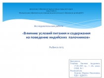 Влияние условий содержания и питания на поведение индийских палочников