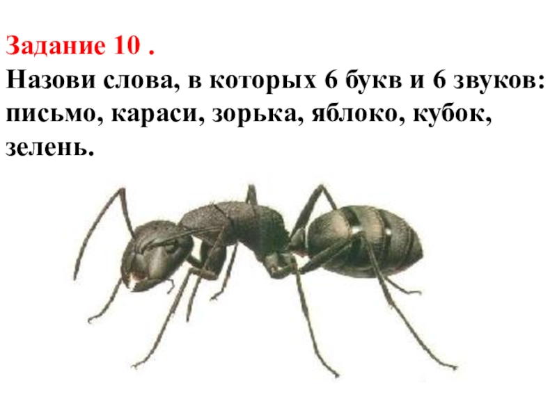 Слово 6 букв 6 звуков. Слова в которых 6 букв. Слова в которых 6 букв и 6 звуков. Слова 6 букв. 6 Звуков и шесть букв в слове письмо яблоко Зорька клубок карась.