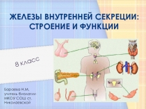 Презентация к уроку Железы внутренней секреции (8 класс)
