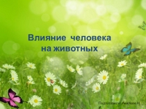 Презентация по биологии на тему: Влияние человека на животных (7 класс)