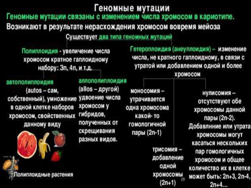 Геномные мутации проект