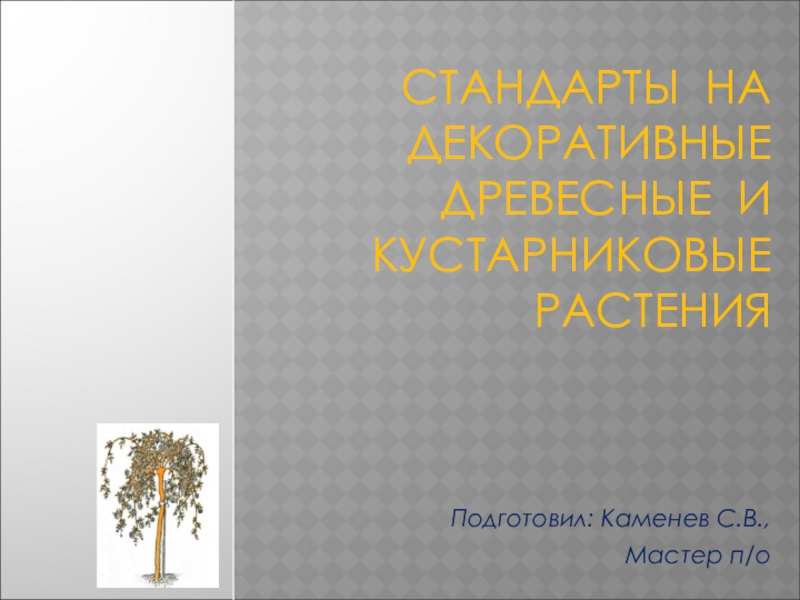 Презентация Стандарты на декоративные древесные и кустарниковые растения