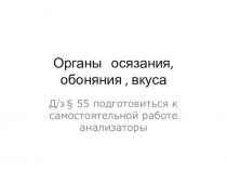 Презентация Органы осязания, обоняния , вкуса