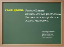 Презентация по биологии. Разнообразие голосеменных (7 класс).
