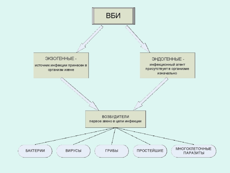 Виды инфекции схема