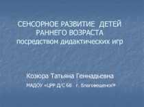 Сенсорное развитие детей посредством дидактических игр
