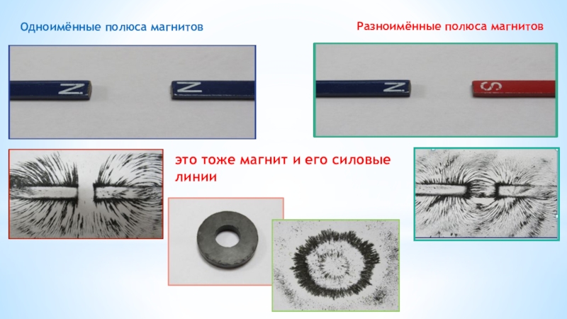 Одноименными или разноименными полюсами образован магнитный спектр на рисунке