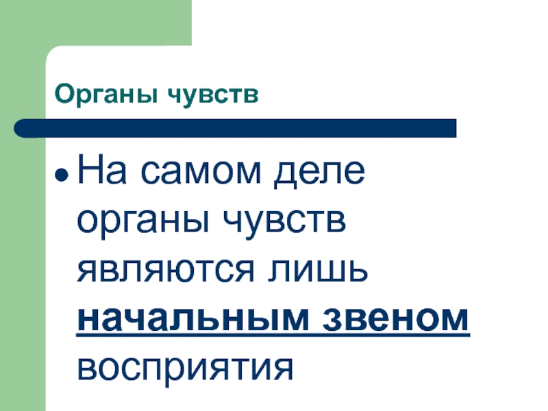 Презентация по биологии на тему анализаторы 8 класс