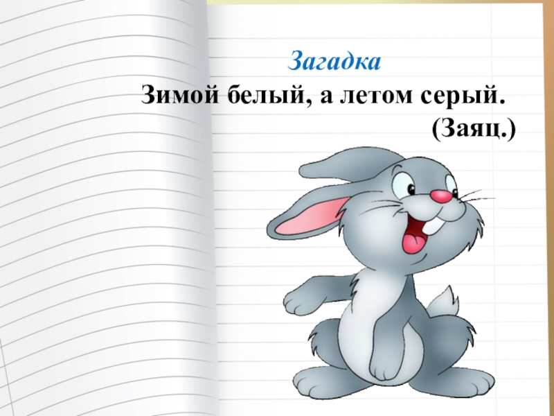 Загадка заяц. Загадка про зайца. Загадки про Зайцев. Загадка про зайчика для детей. Загадка про зайку для детей.