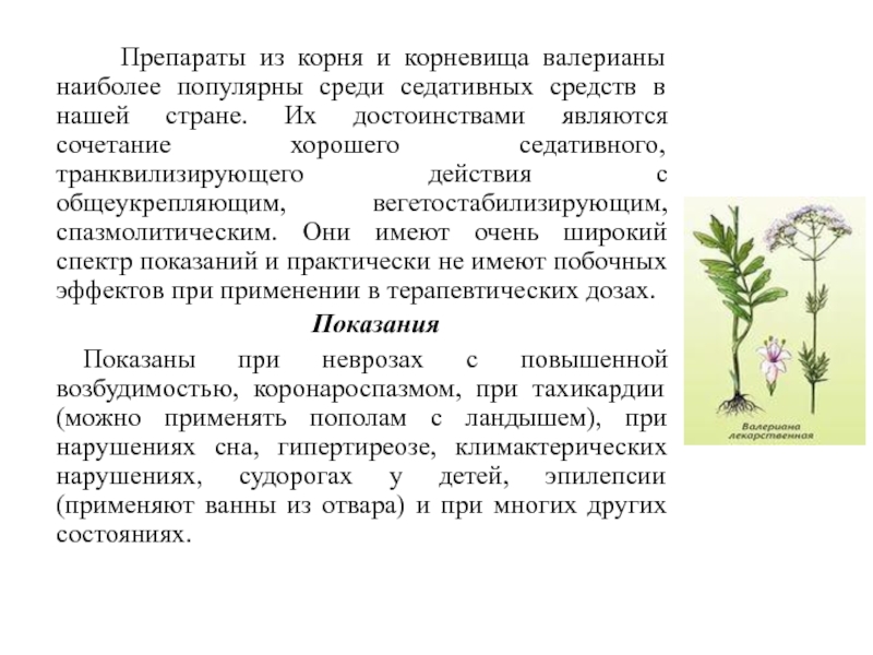 Седативный это простыми словами. Седативным действием обладает. Лекарственное сырье, обладающее седативным действием. Седативные реферат. Интересные факты о седативных средств.