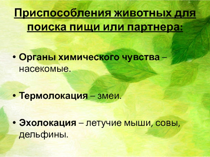 Адаптация насекомых презентация 9 класс