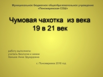 Презентация по биологии на тему Чумовая чахотка из 19 в 21 век