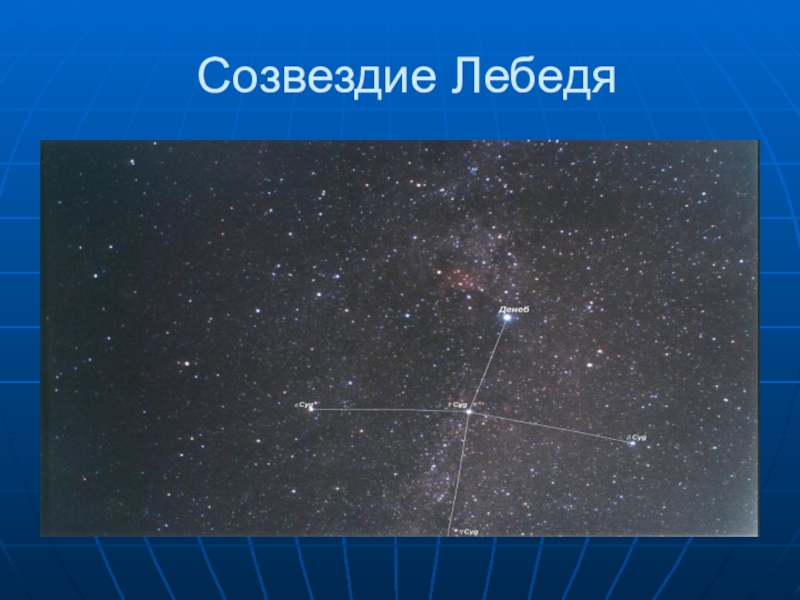 Созвездие лебедь. Созвездие лебедь окружающий мир. Созвездие лебедь окружающий мир 2 класс. Созвездие лебедь фото. Созвездие лебедь окружающий мир 2.