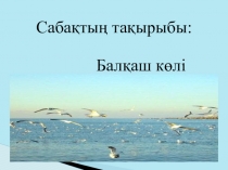 Презентация по географии на тему Балқаш көлі