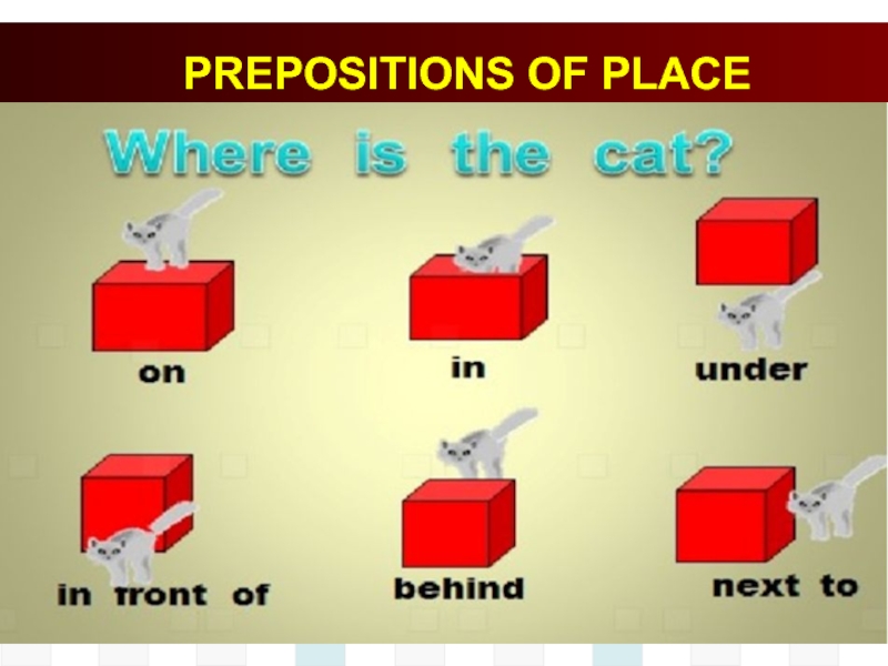 Prepositions of place презентация