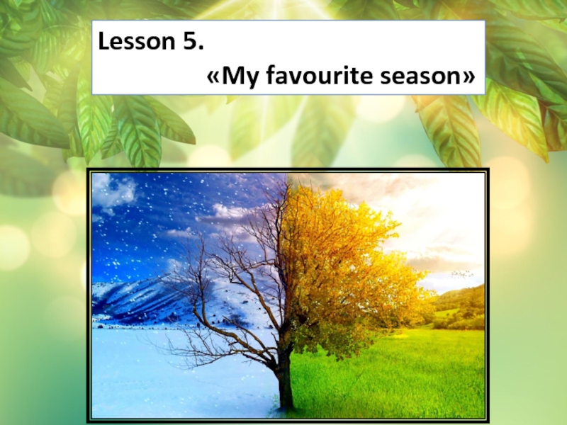 Проект my favourite season