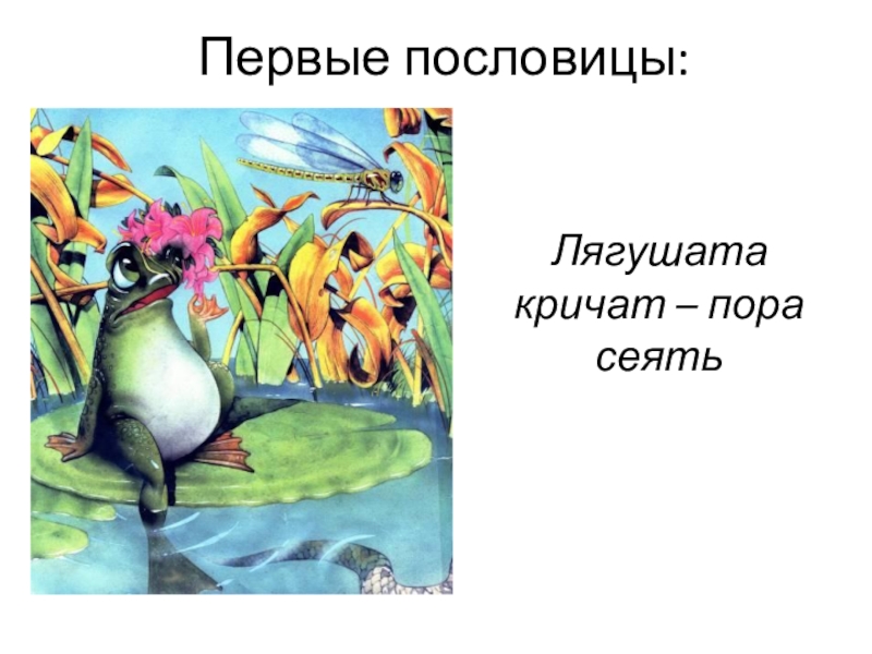 До поры до времени не сеют. Пословицы про лягушку. Поговорки про лягушку. Пословицы и поговорки о лягушках. Пословицы и поговорки о земноводных.