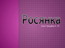 Презентация по биологии на тему: Хищное растение Росянка круглолистная (6 класс)