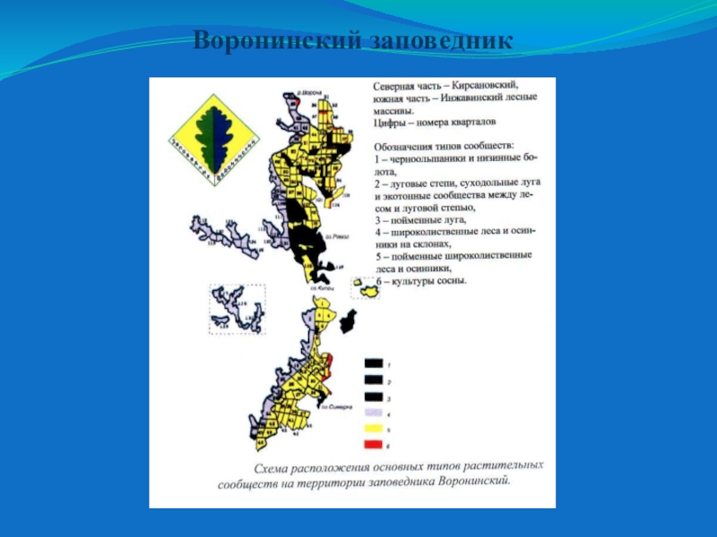 Воронинский заповедник тамбовской области презентация