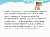 Презентация по биологии на тему Дыхательнач система 8 класс