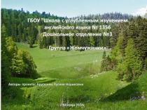 Презентация Животный мир России в средней группа