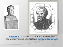 Презентация по биологии 5 класс Лишайники