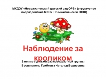 Презентация Наблюдение за кроликами