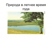 Презентация к уроку окружающего мира Природа в летнее время года