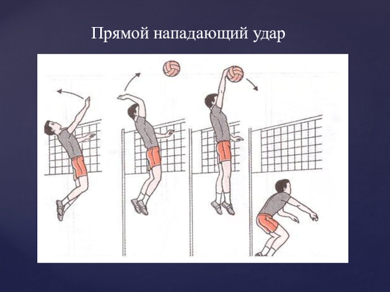 Буклет волейбол