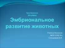 Презентация по биологии 10 кл на тему Эмбриональное развитие животных