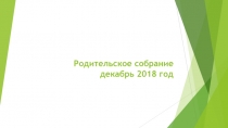 Презентация к родительскому собранию для десятого класса. Статус десятиклассника.