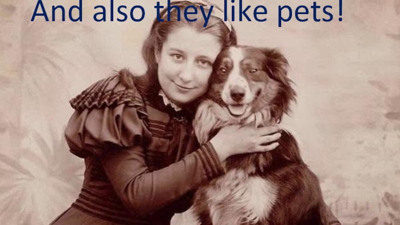 And also they like pets!