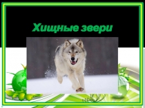 Презентация по биологии, 7 класс Хищные звери