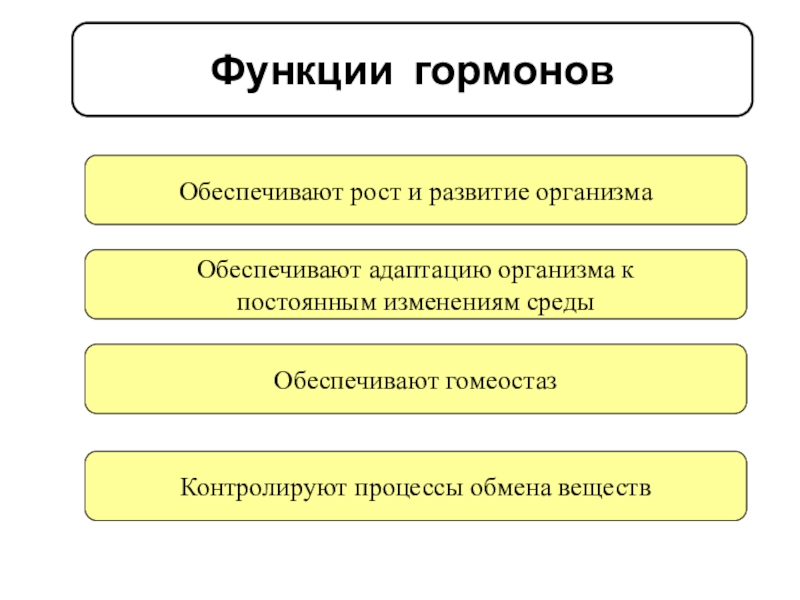 Роль гормонов в обмене веществ росте и развитии организма 8 класс презентация