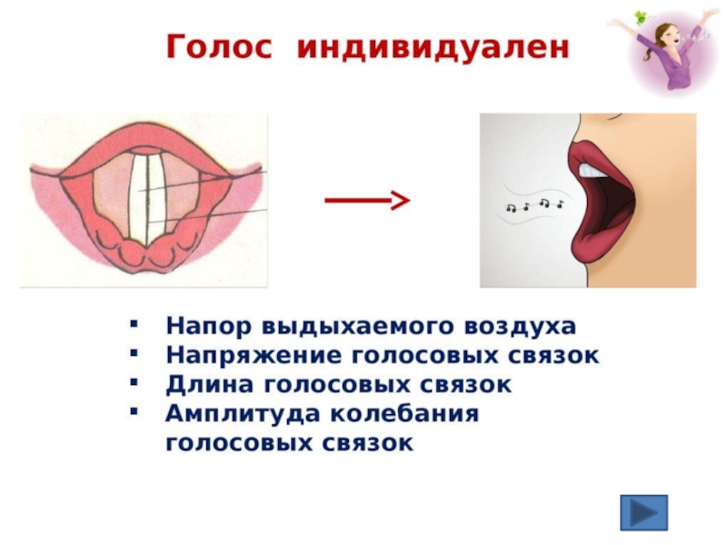 Картинка голосовые связки для детей